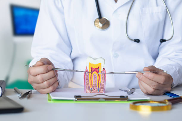 Best Emergency Root Canal Treatment in Bowie, TX